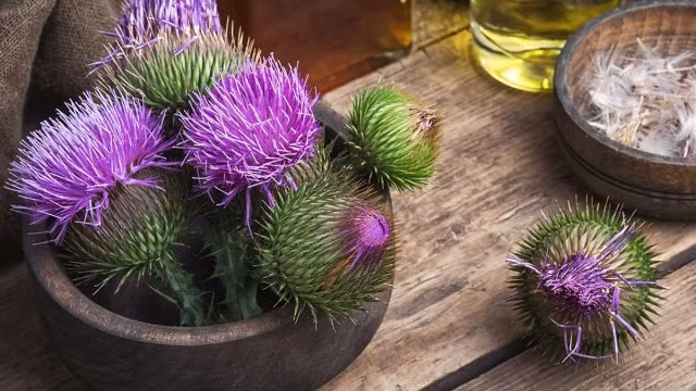 Cac loai tra giup giai doc co the cuc hieu qua-Hinh-2