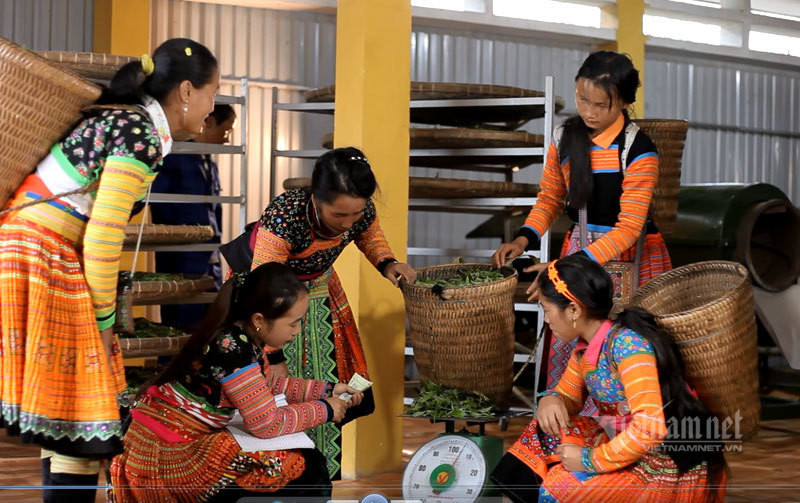 Kho bau co cua nguoi Mong an minh trong thien duong may-Hinh-6