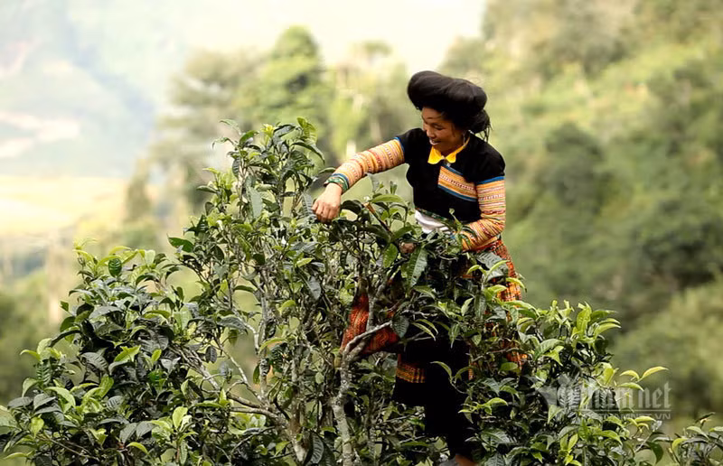 Kho bau co cua nguoi Mong an minh trong thien duong may-Hinh-3