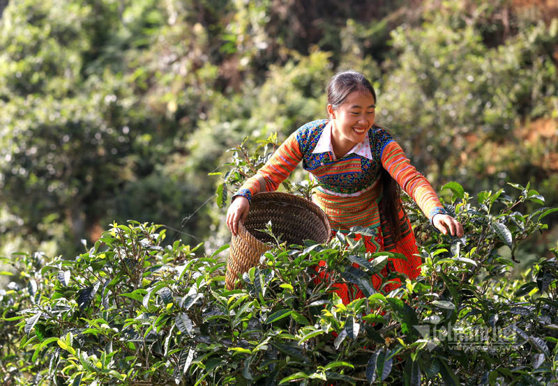 Kho bau co cua nguoi Mong an minh trong thien duong may-Hinh-4