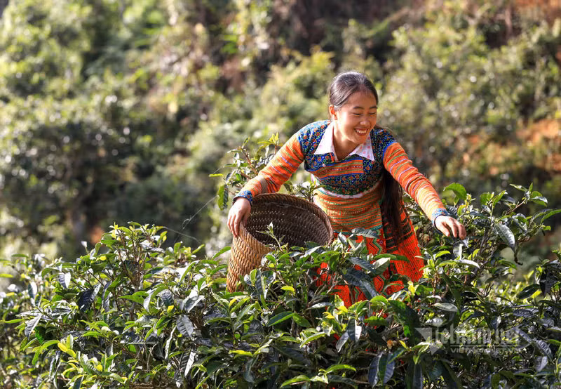 Kho bau co cua nguoi Mong an minh trong thien duong may-Hinh-4
