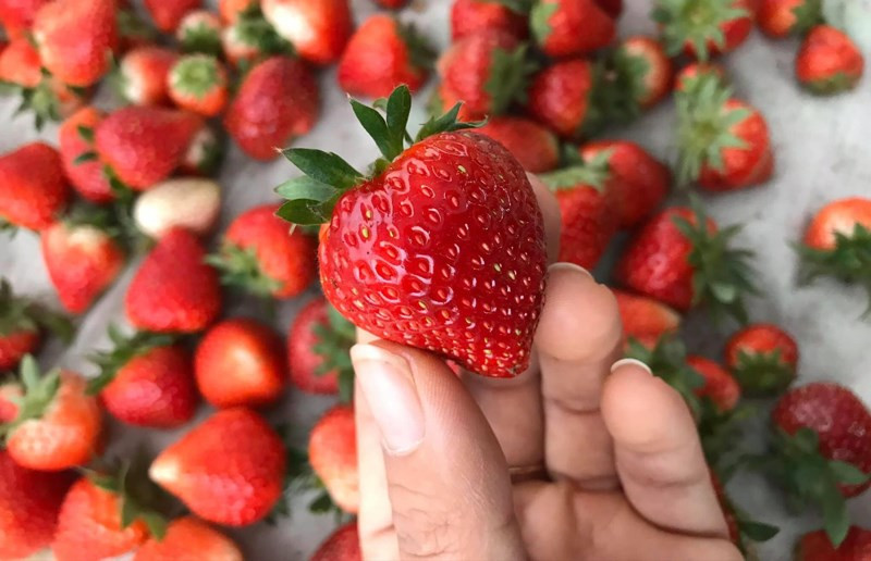 Dâu tây: Không chỉ cấp nước cho cơ thể khoẻ mạnh, dâu tây (và các loại quả mọng nói chung) thường chứa hàm lượng cao các chất chống oxy hóa, vitamin và khoáng chất giúp ngăn ngừa lão hoá da và mang lại làn da tươi trẻ từ bên trong.