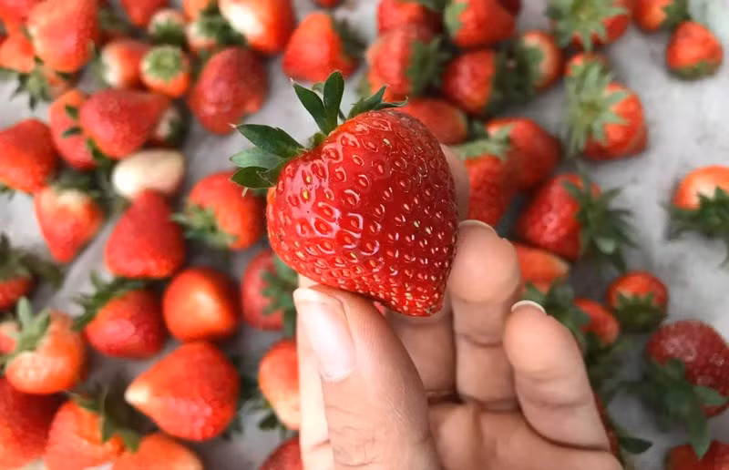 Dâu tây: Không chỉ cấp nước cho cơ thể khoẻ mạnh, dâu tây (và các loại quả mọng nói chung) thường chứa hàm lượng cao các chất chống oxy hóa, vitamin và khoáng chất giúp ngăn ngừa lão hoá da và mang lại làn da tươi trẻ từ bên trong.
