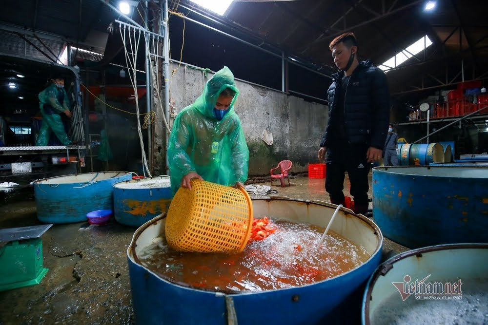 Tieu thuong 18 nam buon loai ca do ruc, ke chuyen 1 ngay chot hang ky luc-Hinh-3