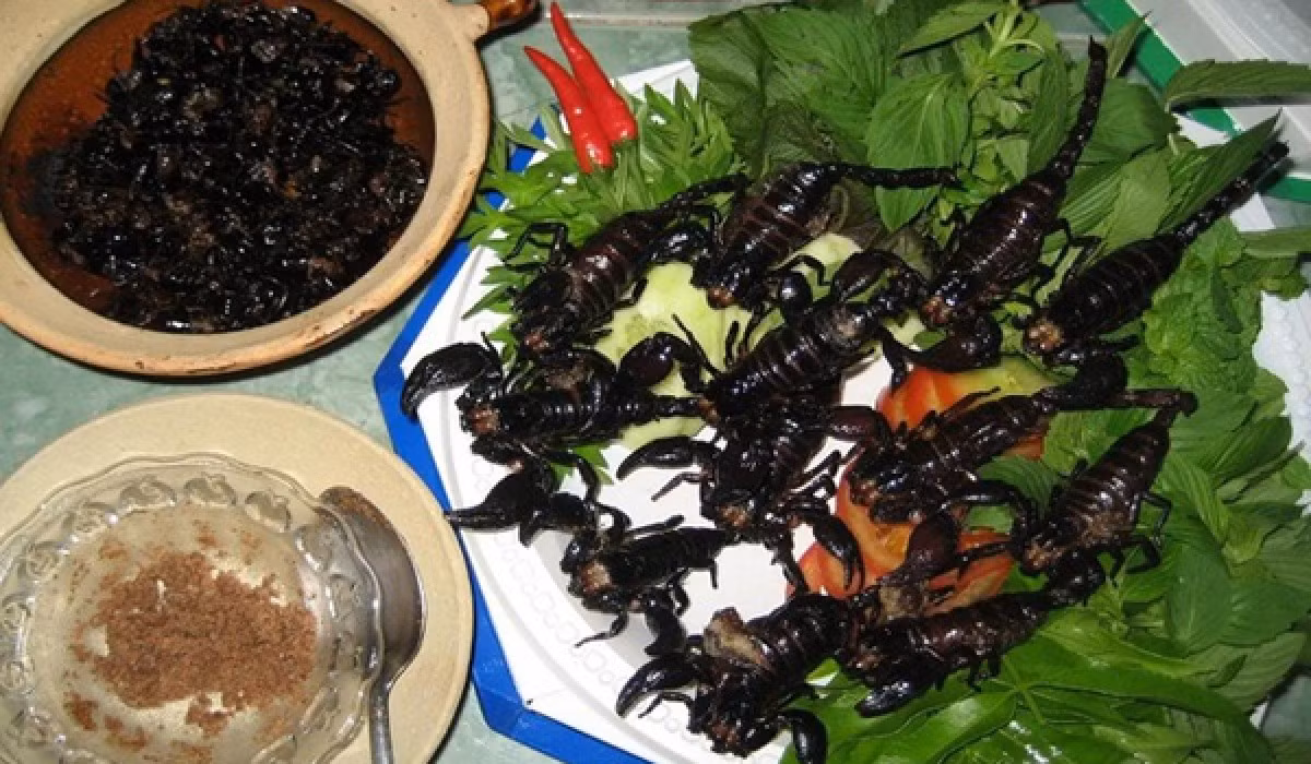 Bọ cạp Bảy Núi chiên giòn đưa vào miệng ăn nghe giòn rụm, vị béo béo, rất ngon. Ngoài bọ cạp chiên giòn còn có bọ cạp rang muối. Đây là món được nhiều người ghiền bọ cạp “mê” nhất.