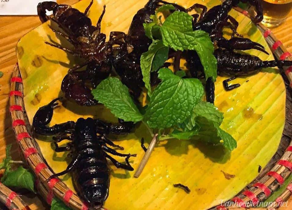 Ngoài ra, bọ cạp còn là nguyên liệu để làm nên nhiều món nướng, trong đó có món bọ cạp xiên que nướng. Với món này, bọ cạp được xiên vào que, sau đó đem nướng chín trên bếp than.