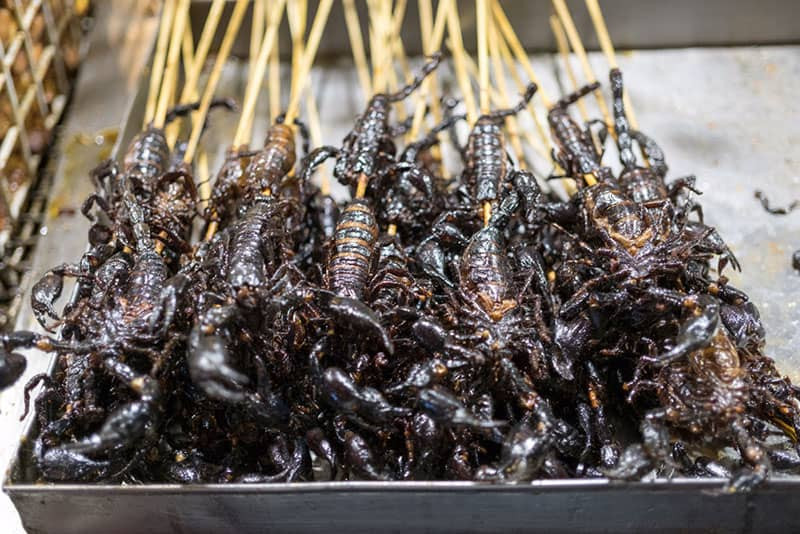 Bọ cạp Bảy Núi (người địa phương thường gọi là bù kẹp), có màu đen nhánh, hai càng to, kích thước bọ cạp to cỡ bằng con dế cơm. Thoạt nhìn, bọ cạp có nét giống con gián nhưng quan sát kỹ sẽ thấy nhiều nét khác biệt.