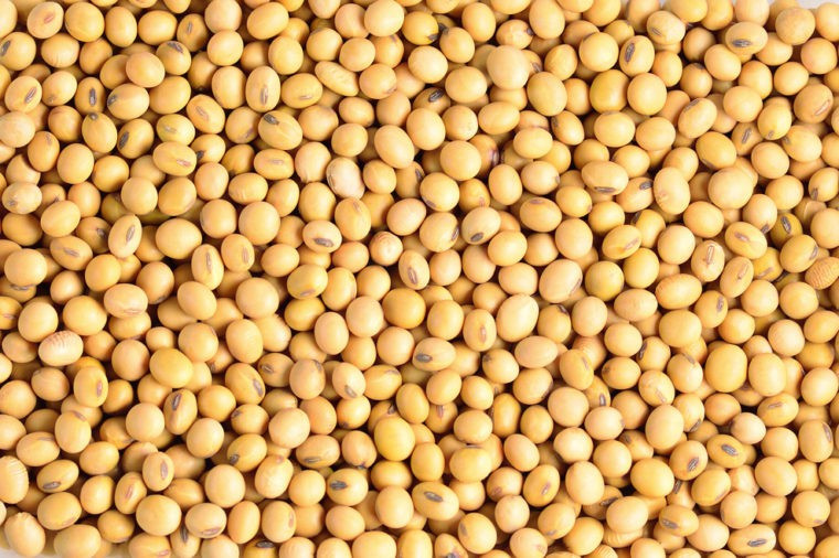 Đậu nành có thể là một thay thế lành mạnh cho thịt. Nó có hàm lượng protein cao, nên là một thay thế tốt cho những người cố gắng ăn chay. Tuy nhiên, có một số bằng chứng cho thấy đậu nành có thể hoạt động như một loại estrogen trong cơ thể; ăn hoặc uống quá nhiều có thể làm trầm trọng thêm một số rối loạn nội tiết tố.