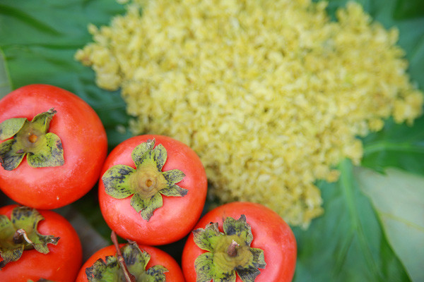 Có thể nói, hồng đỏ là một trong những món quà không thể thiếu trong mâm quả trông trăng mỗi dịp trung thu. Khi kết hợp hồng đỏ cùng với cốm xanh càng tạo ra một món ăn chơi nhưng tinh tế mang nét đặc trưng riêng của người Hà Nội.