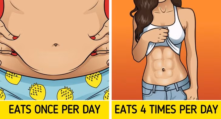 Ly do khien ban khong the “tong khu” dong mo bung-Hinh-4