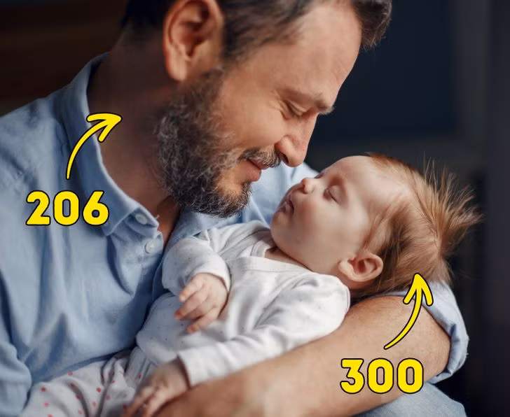 Trẻ sơ sinh có nhiều xương hơn chúng ta. Trên thực tế, trẻ sơ sinh có nhiều hơn người lớn khoảng 100 chiếc xương. Chúng có khoảng 300 chiếc xương khi mới sinh, và những chiếc xương này theo thời gian sẽ hợp nhất với nhau để tạo thành 206 chiếc xương mà người lớn có. Một số xương của trẻ sơ sinh là sụn mềm sẽ được thay thế bằng xương với sự trợ giúp của canxi khi chúng lớn lên. Toàn bộ quá trình sẽ hoàn tất khi chúng bước sang tuổi 25, sau đó, xương không thể phát triển được nữa.