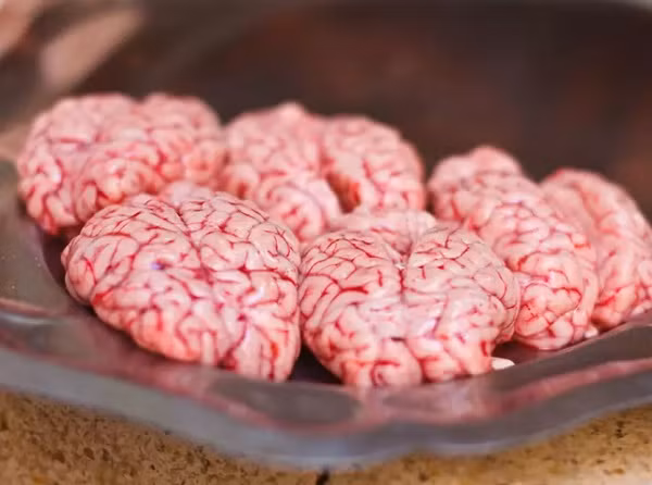 3. Não khỉ: Não khỉ rất được ưa chuộng ở Trung Quốc, tuy nhiên lại cực kì gây hại cho sức khỏe của con người. Nó gây ra bệnh Creutzfeldt- Jakob, một chứng rối loạn thoái hóa thần kinh tương tự như bệnh bò điên, dẫn đến mất trí nhớ tạm thời, suy giảm thị lực, trầm cảm và tệ nhất là tử vong.