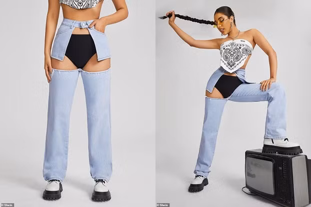 Đa số mỉa mai vì thương hiệu Canada bán sản phẩm cắt xẻ táo bạo đến mức lộ hết quần lót, mặc như không mặc. Nhiều người để lại bình luận rằng: “Ai muốn mặc một chiếc quần lộ nội y chứ? Đây là điều kỳ lạ nhất từ trước tới nay”, “Chuyện quái gì đang xảy ra vậy”, “Chiếc quần jean cắt xẻ kỳ lạ nhất từ trước tới nay”…