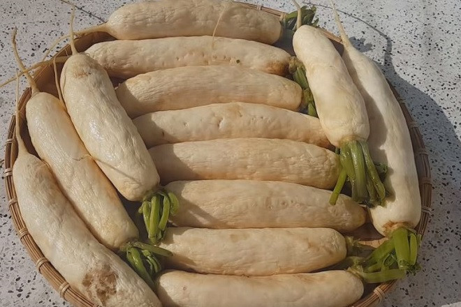 Đầu tiên là đem củ cải đi rửa sạch, cắt dài khoảng 5-10 phân, chẻ làm bốn và ướp muối. Sau đó đem củ cải ướp muối ra phơi nắng 2 ngày. Trong quá trình phơi tránh để củ cải dính mưa sẽ bị ôi, mốc.