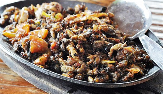 Chân và cánh dế được làm sạch sau đó luộc qua nước tỏi sau đó được xào áp chảo cùng với dầu ăn và cà chua, hành tây. Mùi vị của món ăn độc lạ này rất độc đáo và hấp dẫn du khách.