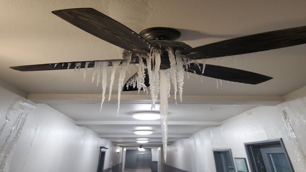 Nguoi dan Texas chet o san sau, trong oto, tham chi tren giuong ngu