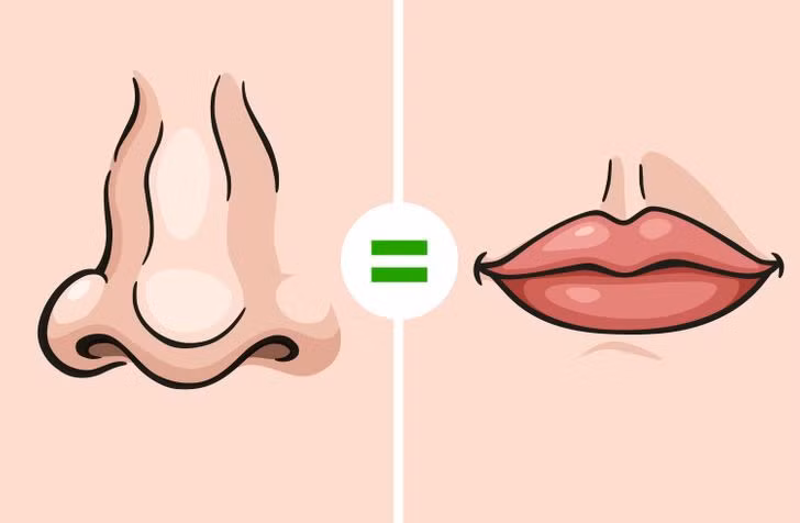 10. Mũi của chúng ta cũng chịu trách nhiệm về nhận thức vị giác. Thực tế, khứu giác của chúng ta chịu trách nhiệm về khoảng 80% mùi vị của chúng ta. Nếu không có nó, chúng ta sẽ chỉ nếm trải các cảm giác ngọt, mặn, chua và đắng. Tất cả các hương vị khác thực sự đến từ khứu giác. Đây là lý do tại sao, khi chúng ta bị cảm lạnh và tắc mũi, hầu hết các loại thức ăn đều có vẻ vô vị. Ảnh: BS.