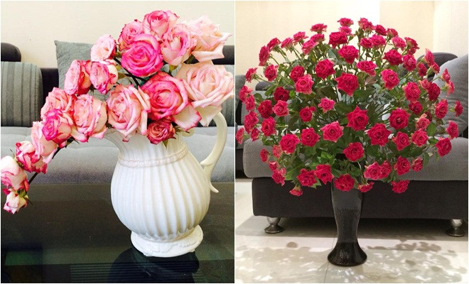 Hoa hồng chưng tết không chỉ đẹp mà hương thơm của nó còn có thể làm giảm trầm cảm, mang lại cảm giác hạnh phúc và dễ chịu.