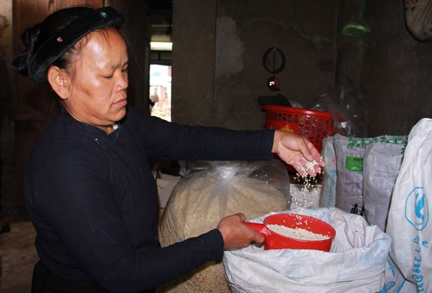 Để làm ra bánh Khẩu sli thơm ngon thì từ khâu chọn nguyên liệu đã phải rất kỹ càng. Gạo nếp phải là giống nếp Vải hoặc nếp Cái hoa vàng. Chọn lấy những hạt gạo còn nguyên không gãy nát.