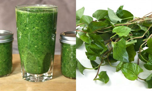 Uống sinh tố rau diếp cá mang đến hiệu quả giảm cân vượt trội hơn nước ép - Ảnh: Internet.