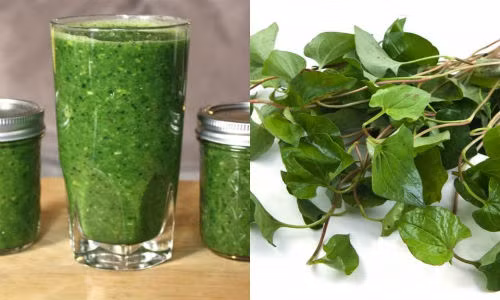 Uống sinh tố rau diếp cá mang đến hiệu quả giảm cân vượt trội hơn nước ép - Ảnh: Internet.