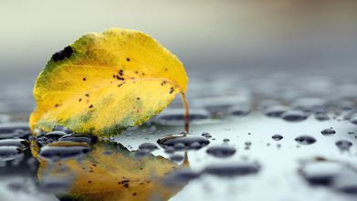 Tuổi Tuất: Công việc: Nhân duyên vượng, có người giúp đỡ, có quý nhân dẫn đường chỉ lối, mọi việc đều thuận lợi. Tài vận: Chỉ cần thời cơ chín muồi, đầu tư chắc chắn sẽ có thu nhập tốt. Tình cảm: Những bạn đã có người yêu hoặc gia đình cần duy trì khoảng cách với bạn khác giới tránh đào hoa xấu đeo bám. Hướng vượng tài: Xuất hành hướng Nam, kỵ hướng Tây. Màu sắc vượng vận: Màu đỏ, màu tím. Quý nhân: Tuổi Ngọ.