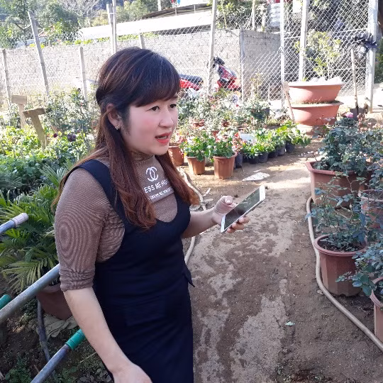 Vào những ngày cận tết nguyên đán, vườn hoa đẹp của chị Quyết tấp nấp khách ra, vào mua hoa.