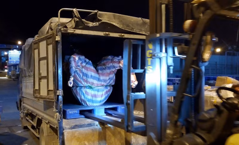 Sau khi chốt mua, đại gia thực hiện phi vụ vận chuyển 3 chậu lan Trần Mộng vào Sài Gòn ngay sau một ngày với chi phí vận chuyển lên tới 50 triệu đồng.