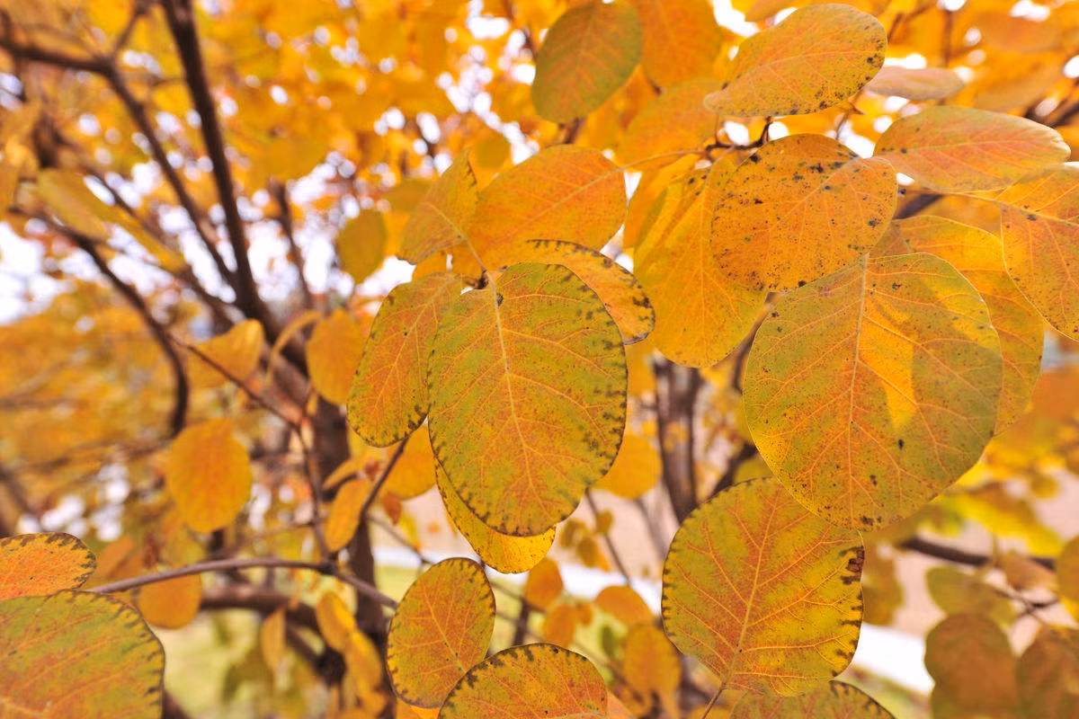 Tuổi Ngọ: Công việc: Có cơ hội quen biết với người có quyền chức nên có được nhiều cơ hội tốt trong công việc. Tài vận: Có khả năng phân tích và đầu tư tốt. Tình cảm: Có niềm vui bất ngờ đến với những ai đã người yêu hoặc gia đình. Hướng vượng tài: Xuất hành hướng Tây Bắc, kỵ hướng Nam. Màu sắc vượng vận: Màu vàng. Quý nhân: Tuổi Tuất.