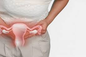 Thực phẩm giàu chất béo bão hòa không nên được tiêu thụ bởi bệnh nhân u xơ. Những chất béo này có thể làm tăng mức estrogen, cho phép u xơ phát triển lớn hơn.