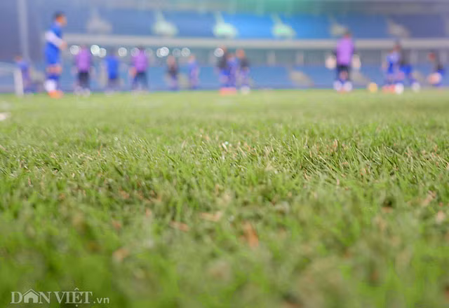 Mặt sân cỏ Mỹ Đình trước trận đấu lượt về rất đẹp. Theo các cầu thủ ĐT Việt Nam, sân cỏ quyết định rất lớn tới chất lượng trận đấu.