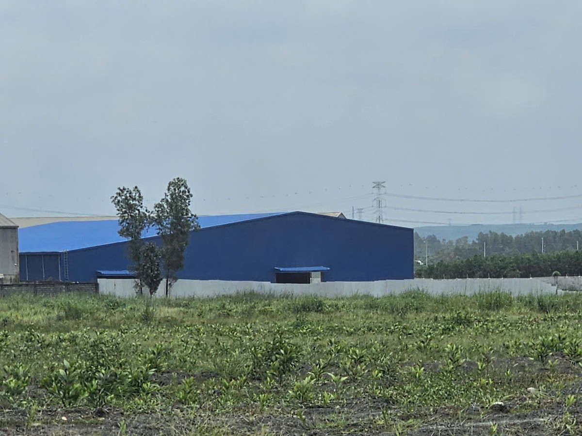 Dong Nai: Nhieu nha xuong xay dung tren dat lua tai Thien Tan?-Hinh-5