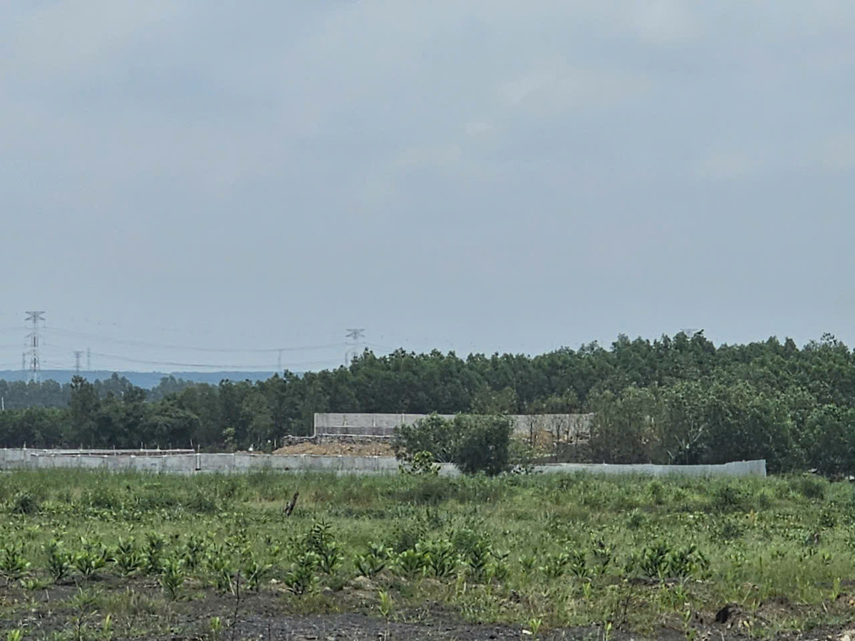 Dong Nai: Nhieu nha xuong xay dung tren dat lua tai Thien Tan?-Hinh-6