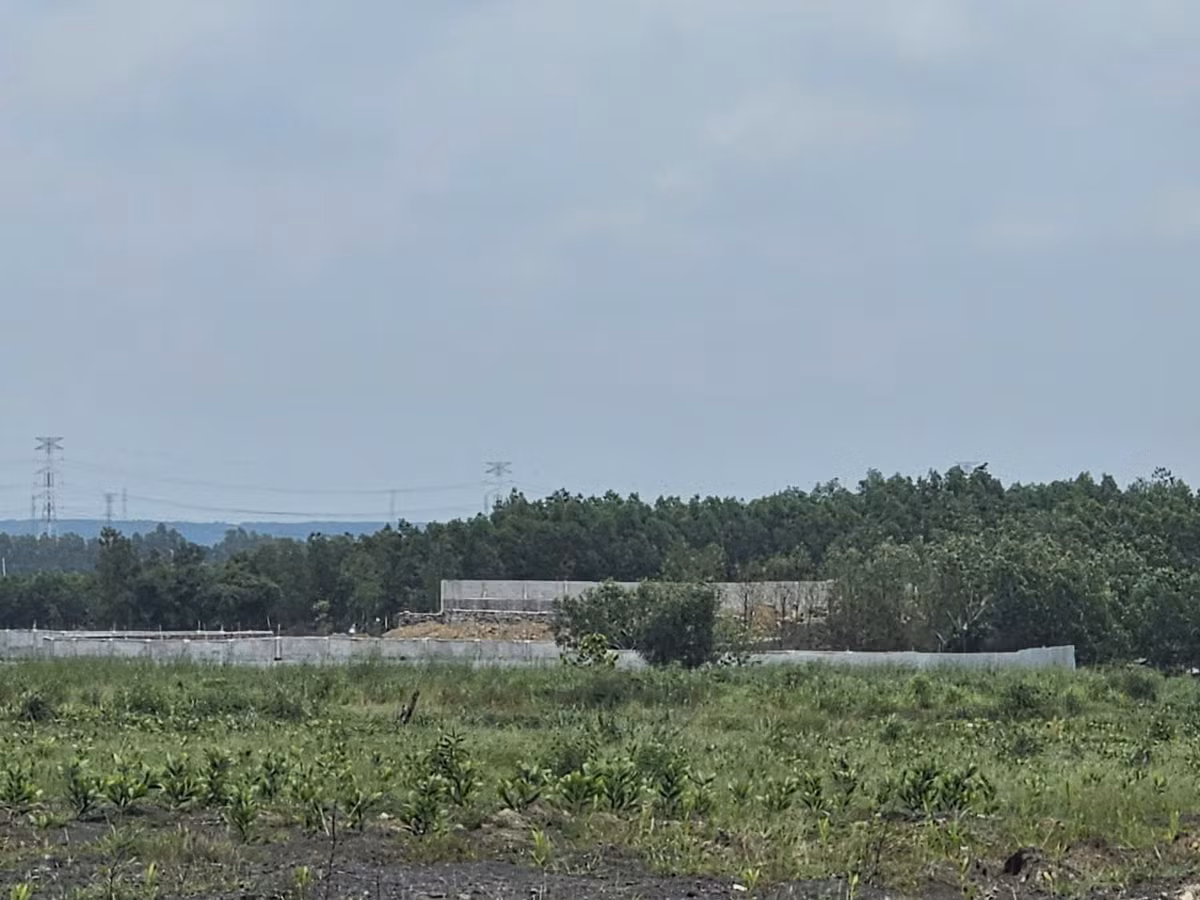 Dong Nai: Nhieu nha xuong xay dung tren dat lua tai Thien Tan?-Hinh-6