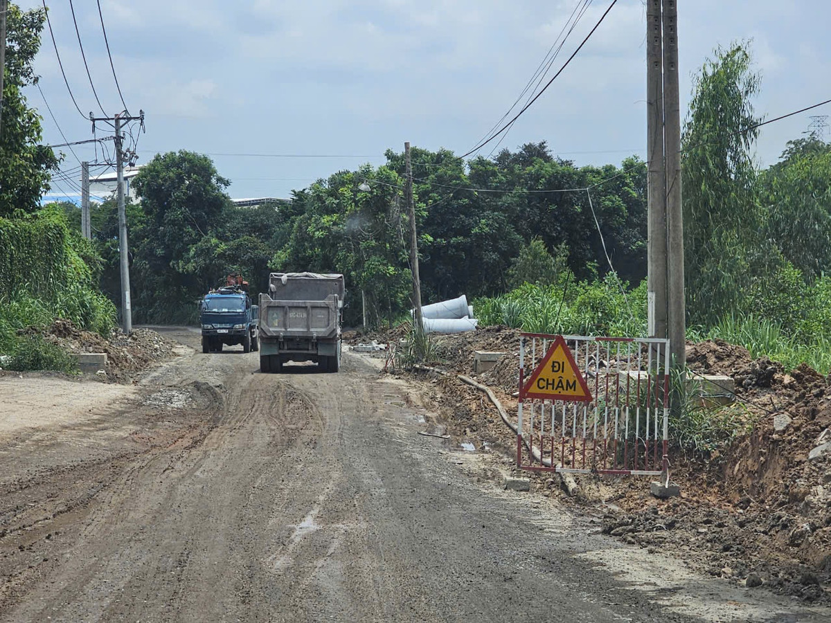 Duy nhất Công ty TNHH Bá Lộc dự thầu và trúng (ảnh ghi nhận ngày 11/9) . Ảnh HĐ