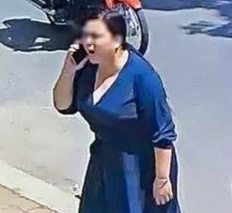 Lat tay hop dong thue nguoi chem muon cua nu Viet kieu Uc-Hinh-2