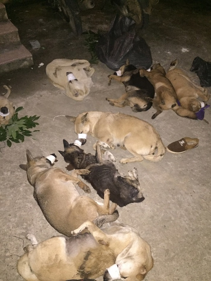 Truy bat nhom cau tac di tu Ha Noi len Hoa Binh trom hon 1 ta cho-Hinh-2