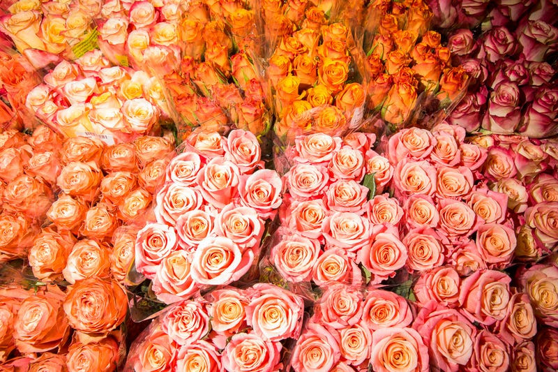 Thoi quen khong dang bo mot xu nhung ai cung ngay ngay trut tien lang phi-Hinh-5