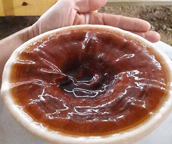 Thu nua ty moi nam nho trong loai cay von it, lai cao-Hinh-3