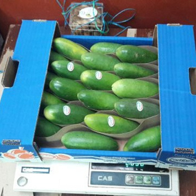 Ruột của quả này có hương vị chua, ngọt và thơm. Mỗi cây có thể cho 250-300 quả/năm.