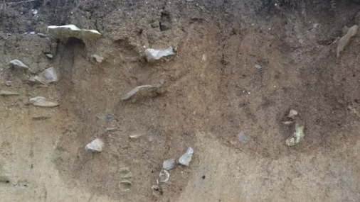 Sat lo, hien ra 6 bo hai cot bi “niem phong” trong vach da nhieu the ky-Hinh-3