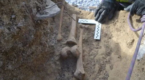 Sat lo, hien ra 6 bo hai cot bi “niem phong” trong vach da nhieu the ky-Hinh-2