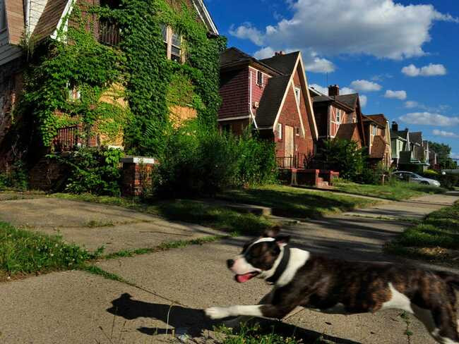 Các ngôi nhà trên nền tảng Đấu giá của Detroit đi kèm với mọi thông tin, từ báo cáo tình trạng tài sản đến các chuyến tham quan miễn phí trước ngày đấu giá.