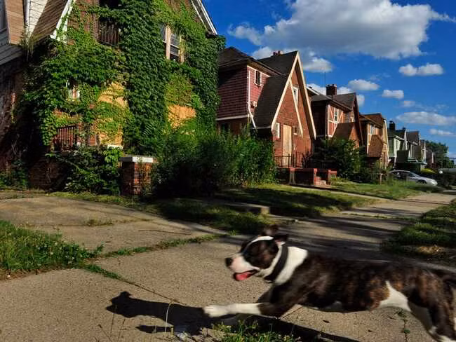 Các ngôi nhà trên nền tảng Đấu giá của Detroit đi kèm với mọi thông tin, từ báo cáo tình trạng tài sản đến các chuyến tham quan miễn phí trước ngày đấu giá.