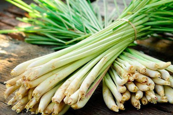 Dung mau giay nho theo cach nay, muoi “khiep 3 doi” khong dam lai gan-Hinh-3