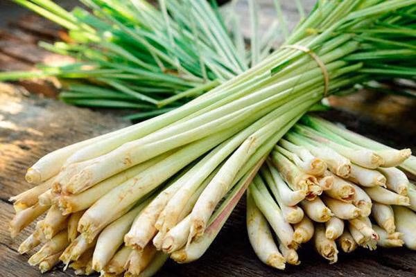 Dùng mẩu giấy nhỏ theo cách này, muỗi “khiếp 3 đời” không dám lại gần - Hình 3 Dung mau giay nho theo cach nay, muoi “khiep 3 doi” khong dam lai gan-Hinh-3