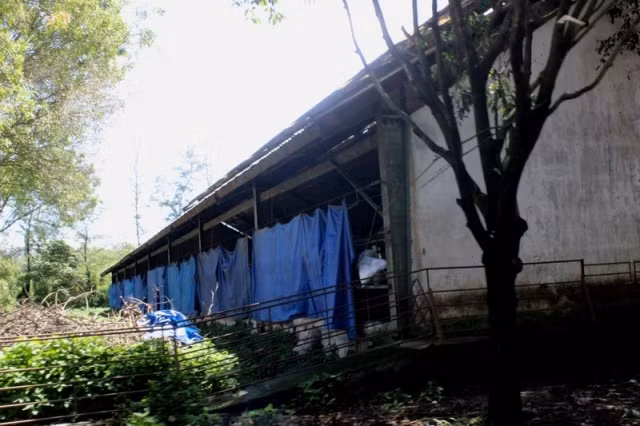 Quang cảnh xung quanh trại nuôi heo Đồng Hiệp.