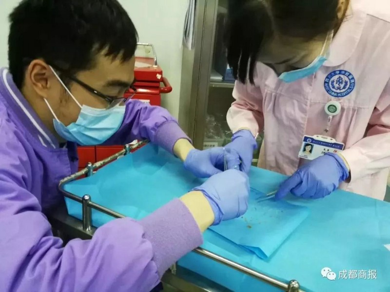 Hai bác sĩ đã thay phiên nhau lấy xương cá khỏi hậu môn của Zhou.