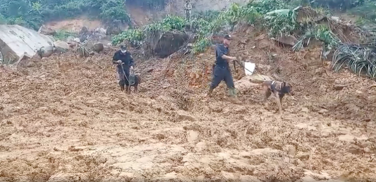 Ngày 12/10, ngày thứ hai tìm kiếm nạn nhân mất tích tại Tổ máy phát điện, Nhà máy Thủy điện Kà Tinh 1, xã Trà Lâm, huyện Trà Bồng, tỉnh Quảng Ngãi đã tăng cường thêm lực lượng Công binh và chó nghiệp vụ hỗ trợ công tác tìm kiếm nạn nhân.