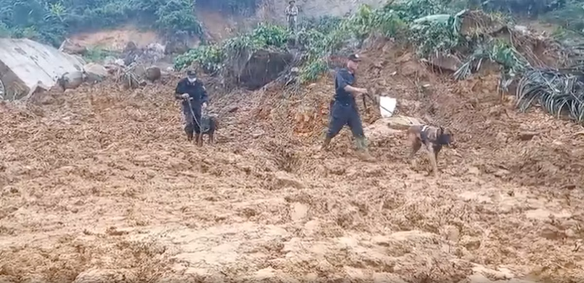 Ngày 12/10, ngày thứ hai tìm kiếm nạn nhân mất tích tại Tổ máy phát điện, Nhà máy Thủy điện Kà Tinh 1, xã Trà Lâm, huyện Trà Bồng, tỉnh Quảng Ngãi đã tăng cường thêm lực lượng Công binh và chó nghiệp vụ hỗ trợ công tác tìm kiếm nạn nhân.